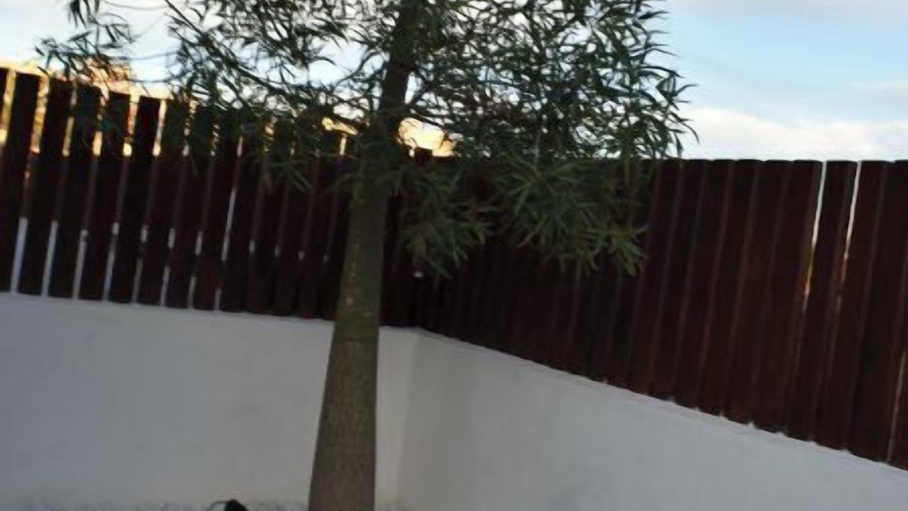 Photo of Outdoor in Playa Honda