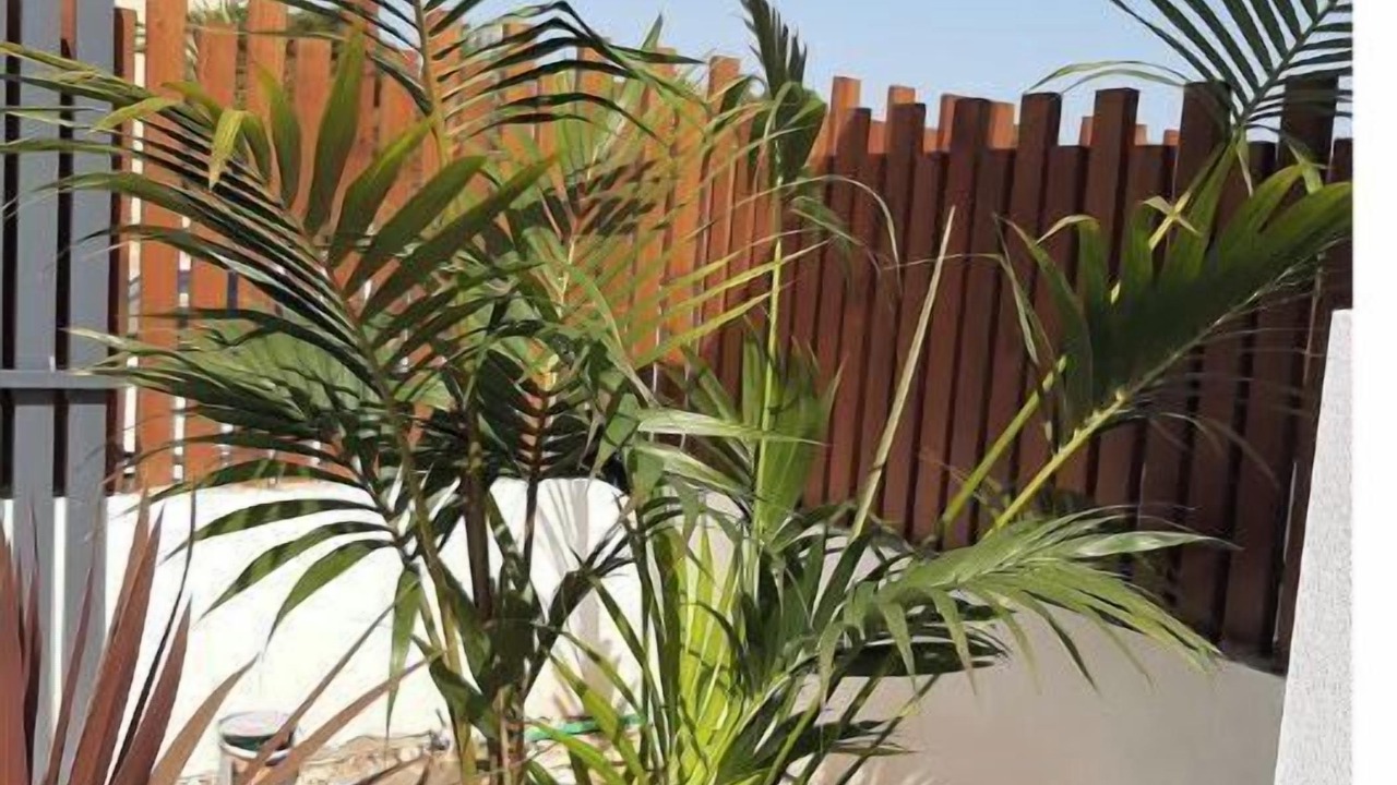 Photo of Outdoor in Playa Honda