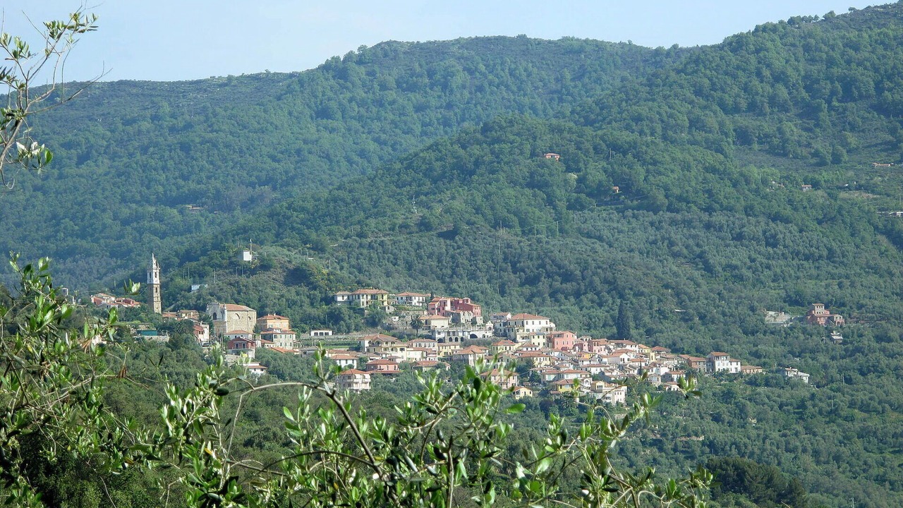 Photo of Others in Vasia