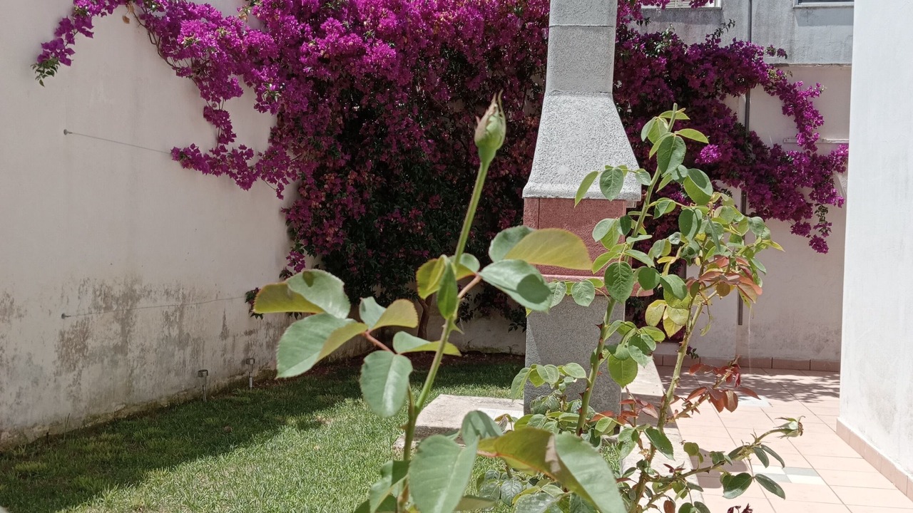 Photo of Outdoor in Minervino di Lecce