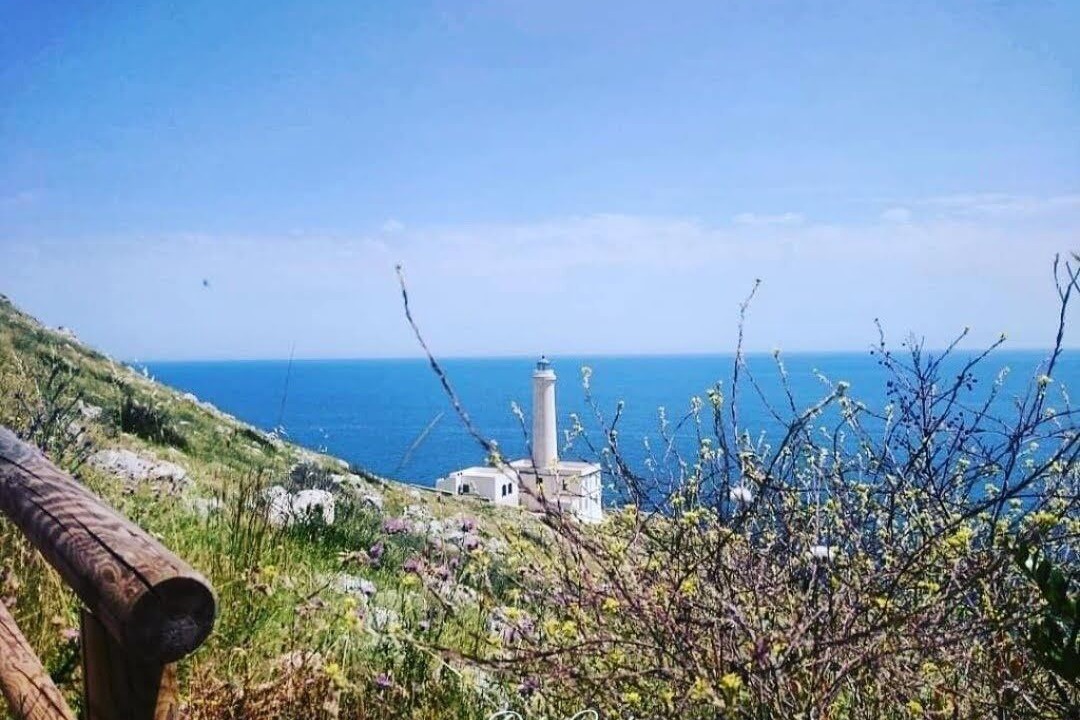 Photo of Others in Minervino di Lecce