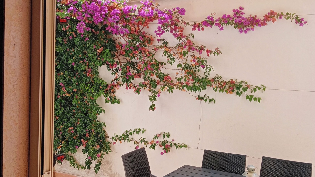 Photo of Outdoor in Minervino di Lecce