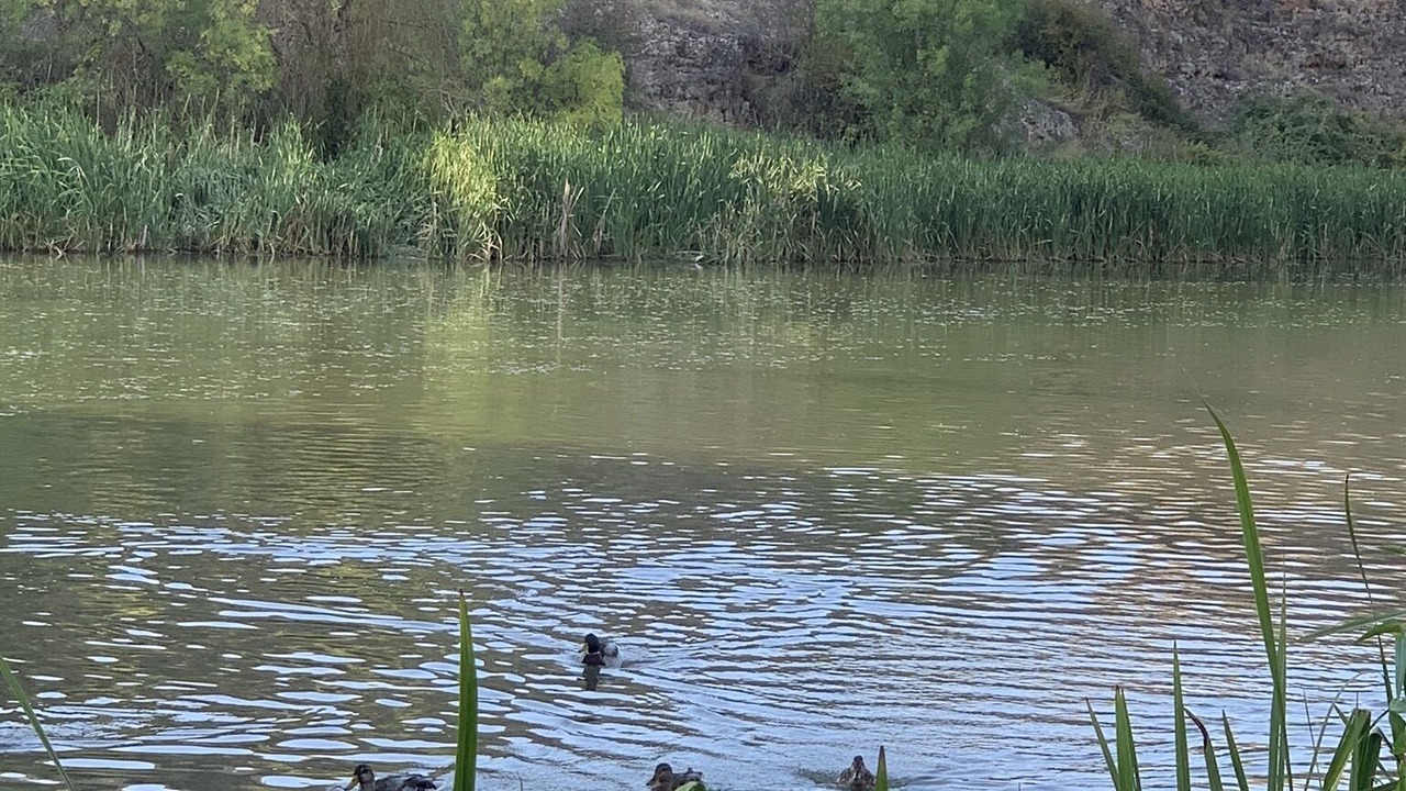 Photo of Others in San Miguel de Bernuy