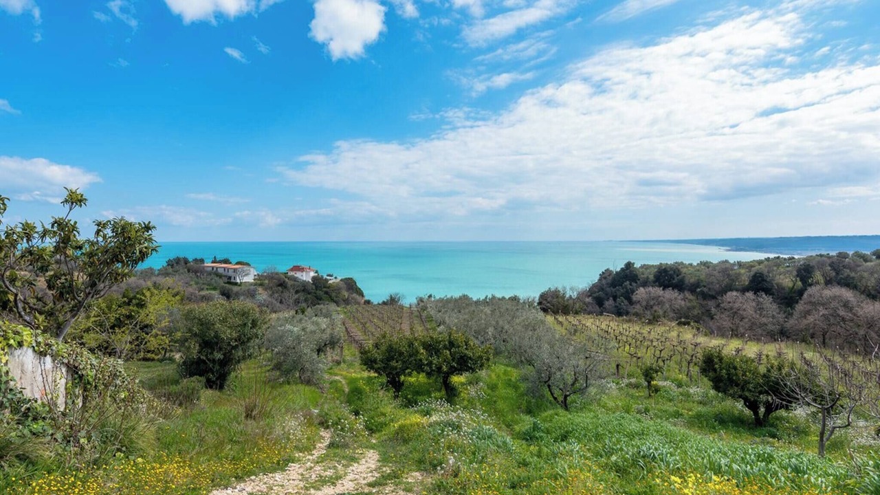 Photo of Outdoor in Vallevo