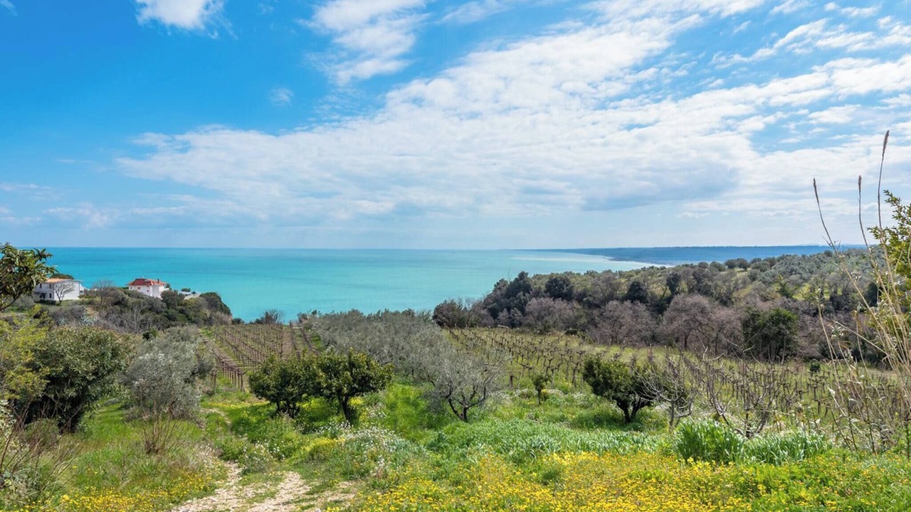 Photo of Outdoor in Vallevo
