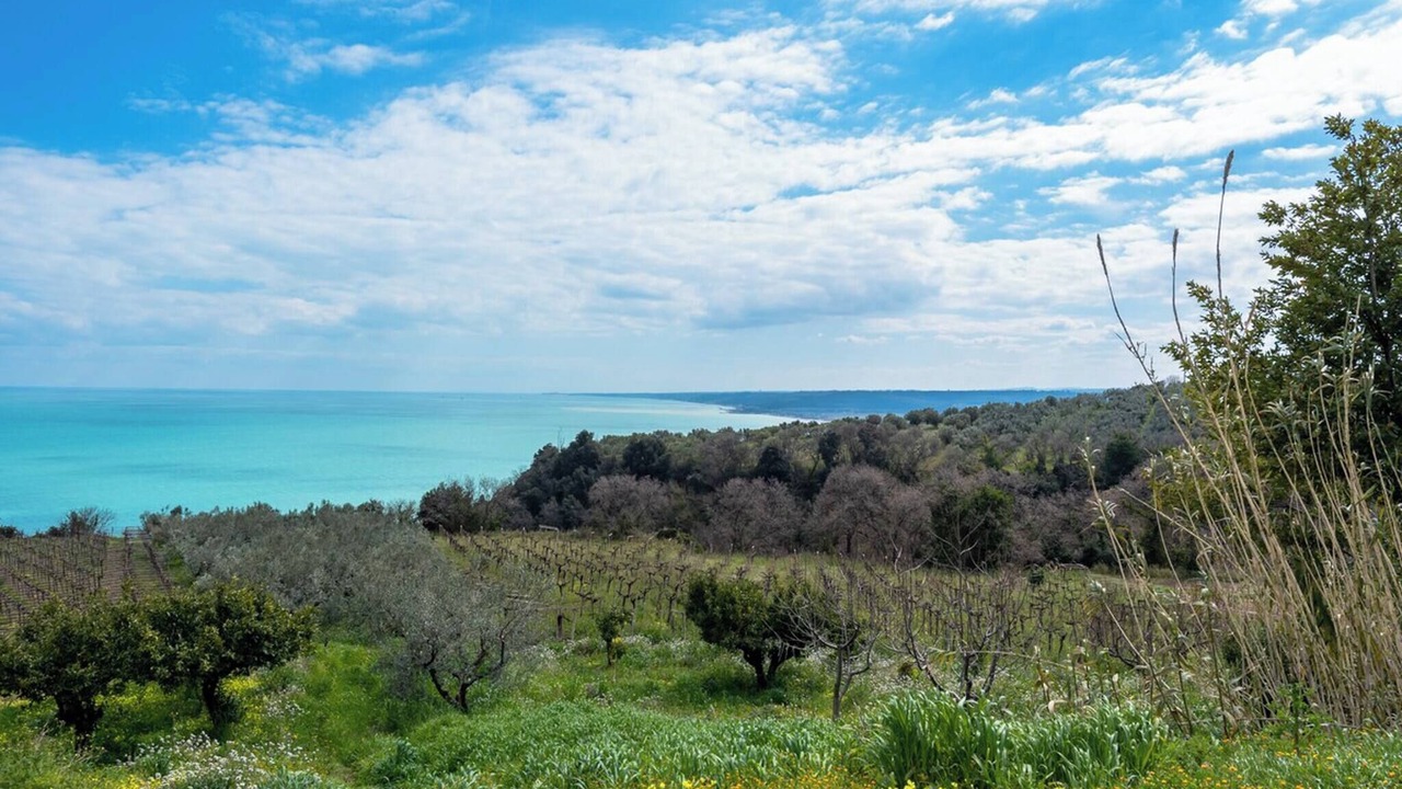 Photo of Outdoor in Vallevo