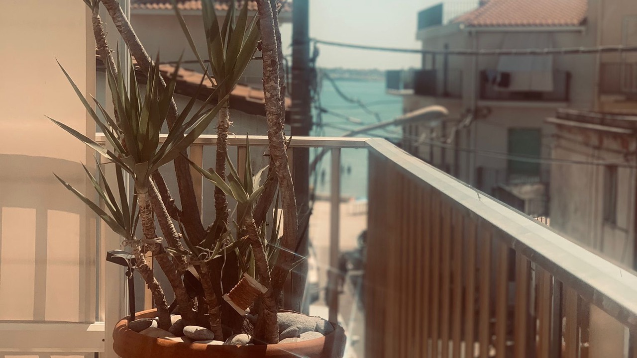 Photo of Outdoor in Sampieri