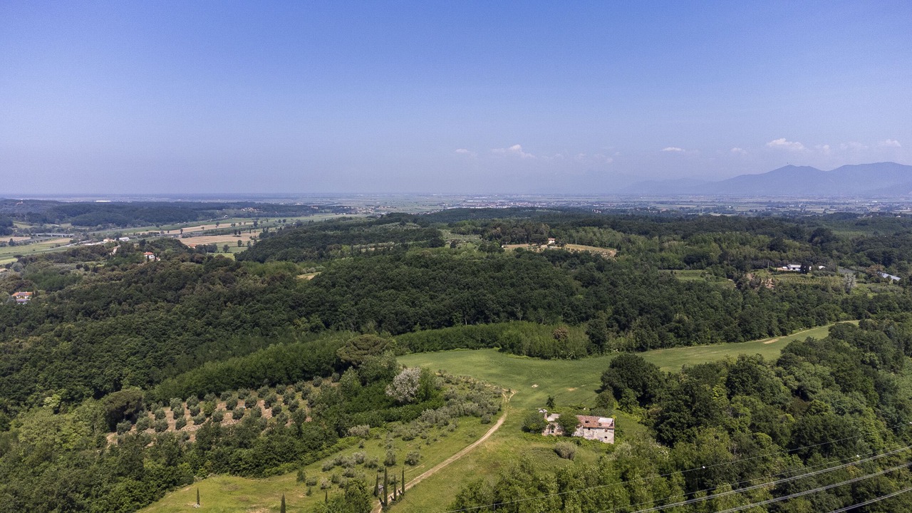 Photo of Outdoor in Fauglia