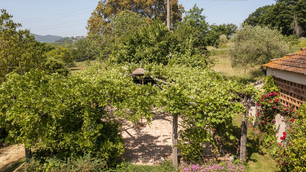 Photo of Outdoor in Fauglia