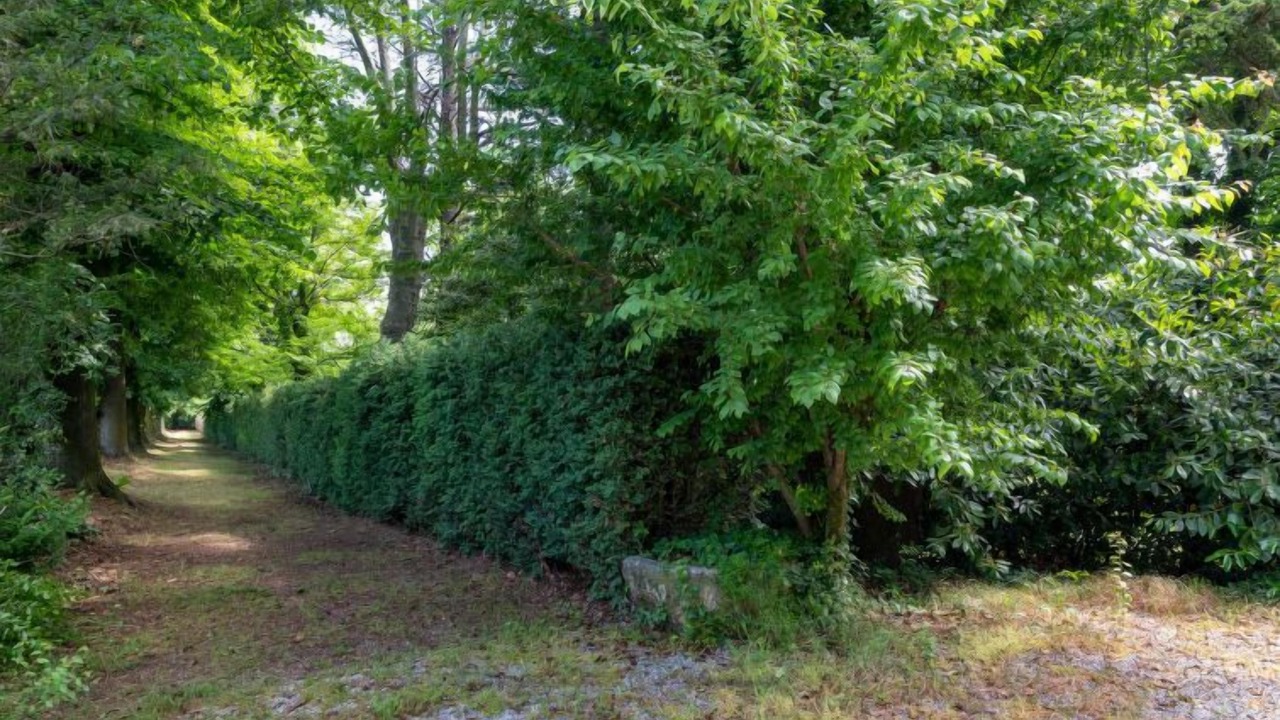 Photo of Outdoor in Mondovi