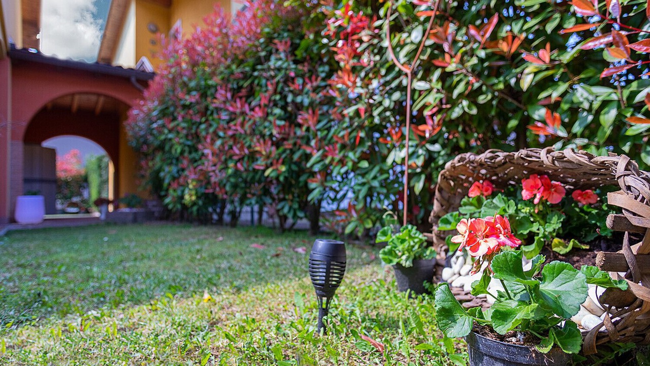 Photo of Outdoor in Cola