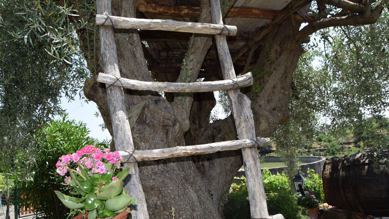 Photo of Outdoor in Santa Venerina