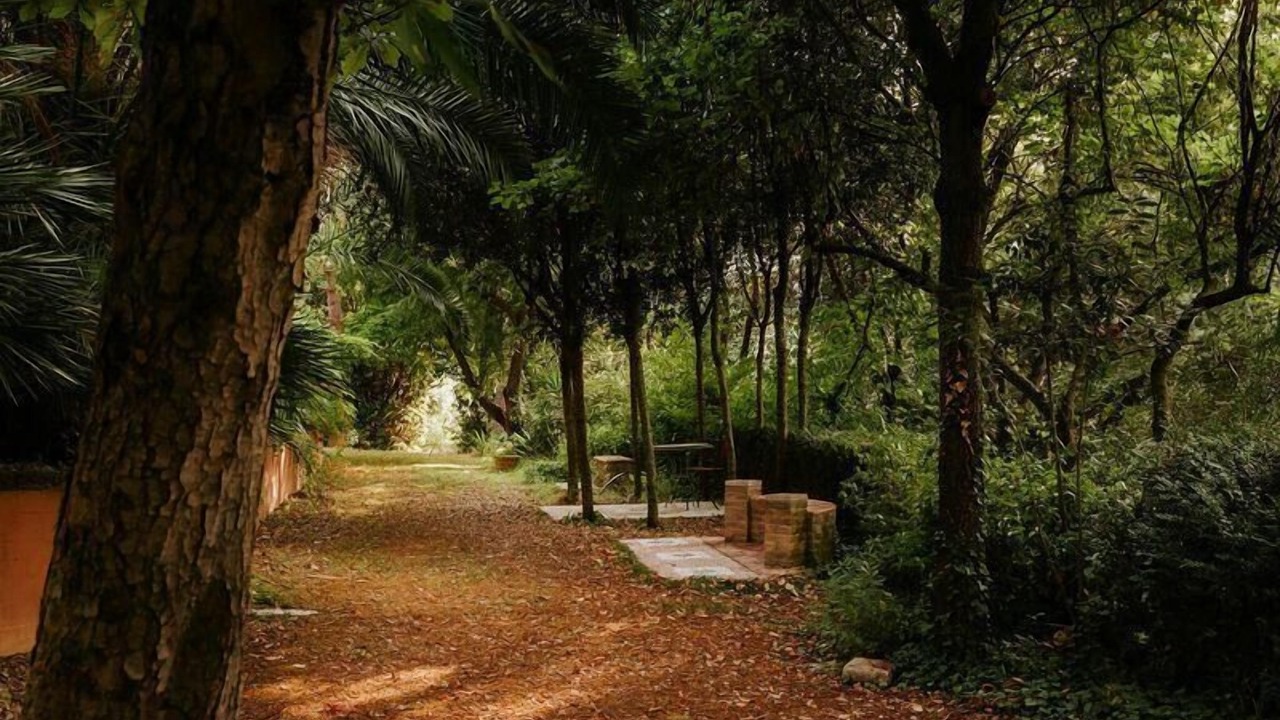 Photo of Outdoor in Capodarco