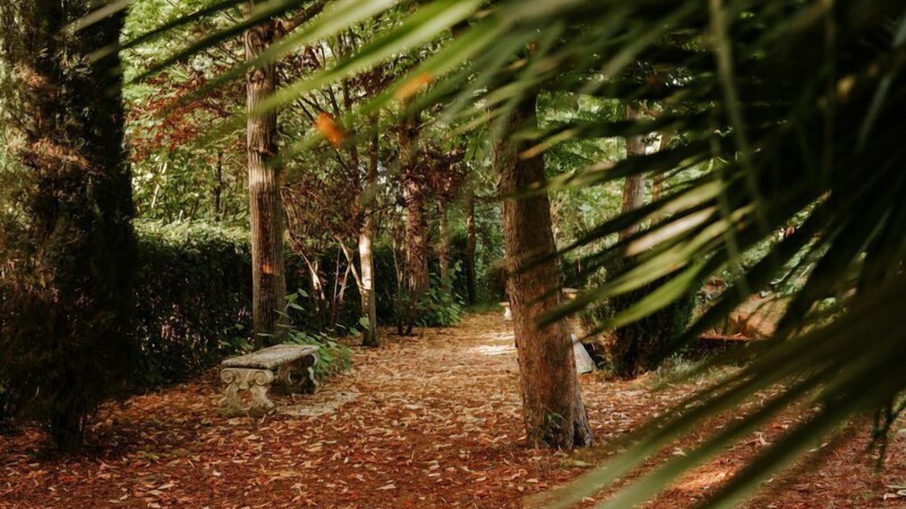 Photo of Outdoor in Capodarco