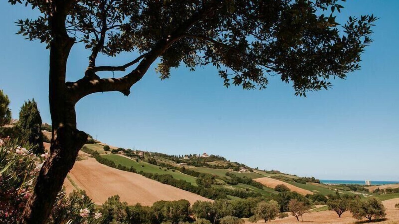 Photo of Outdoor in Capodarco
