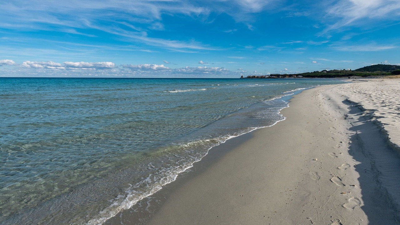 Photo of Others in Siniscola