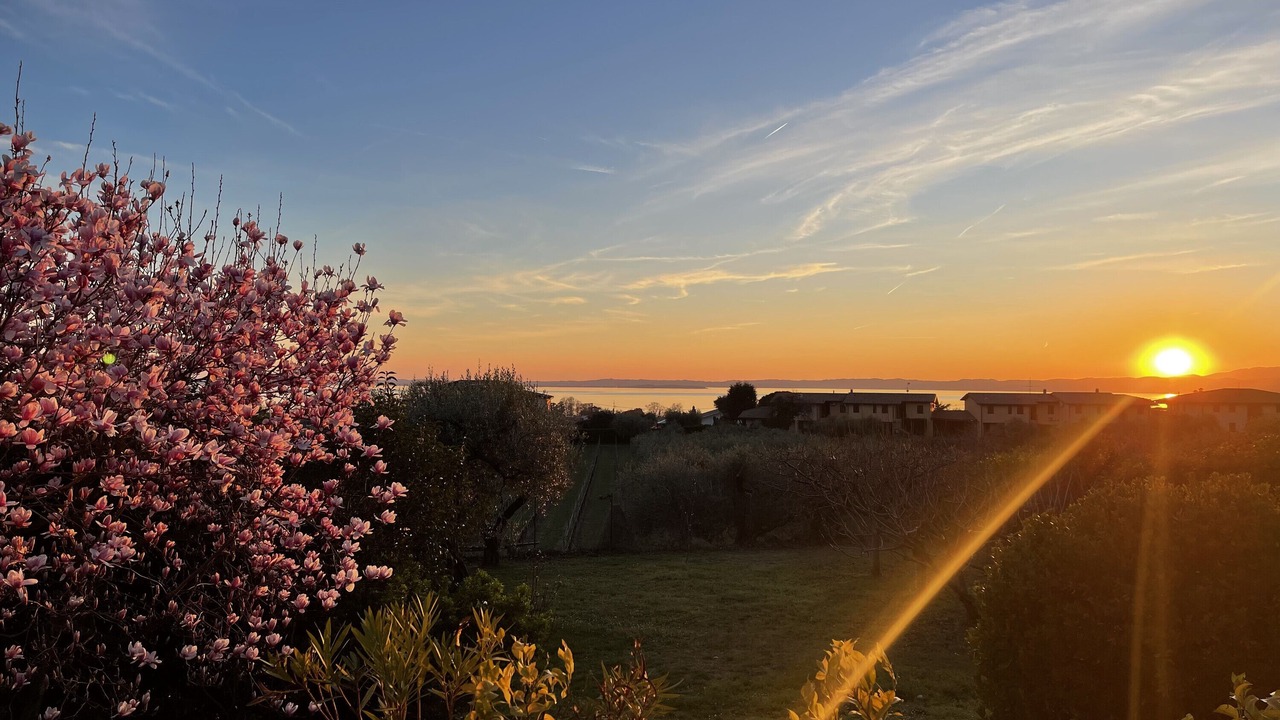Photo of Others in Bardolino
