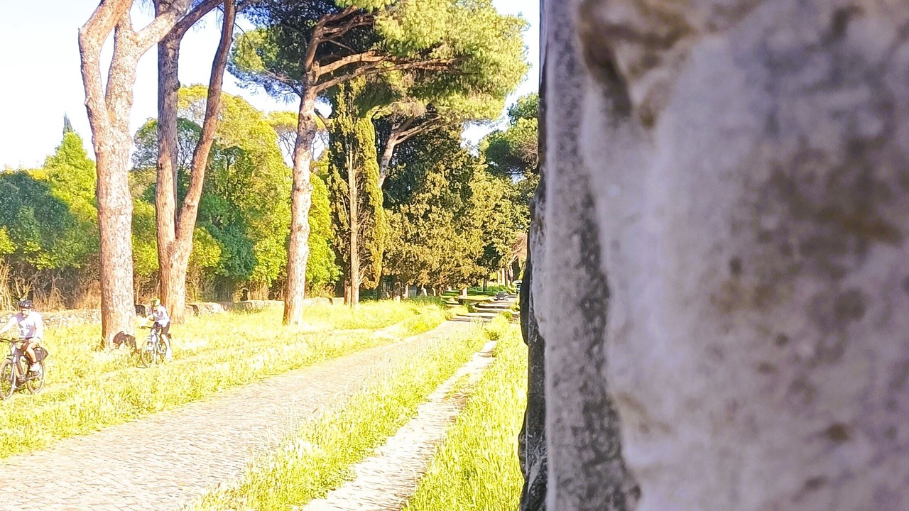 Photo of Others in Tuscolano