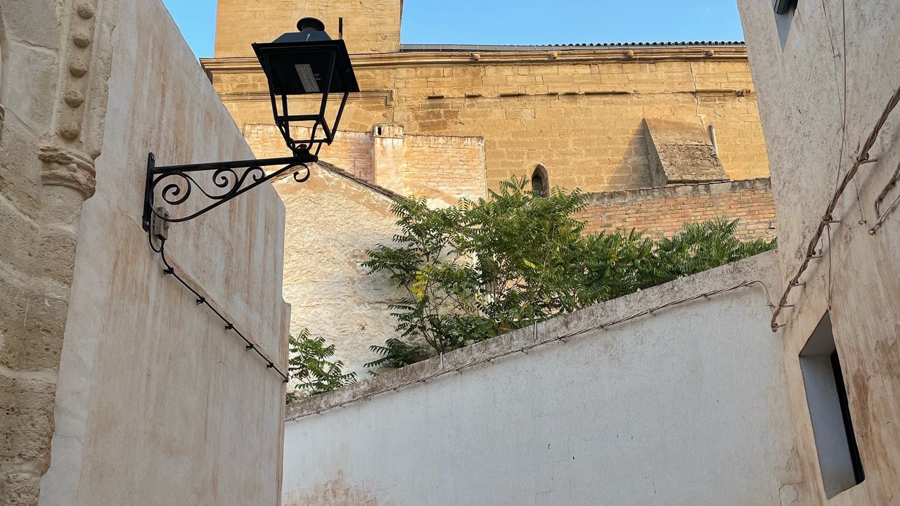 Photo of Others in Alhama de Granada