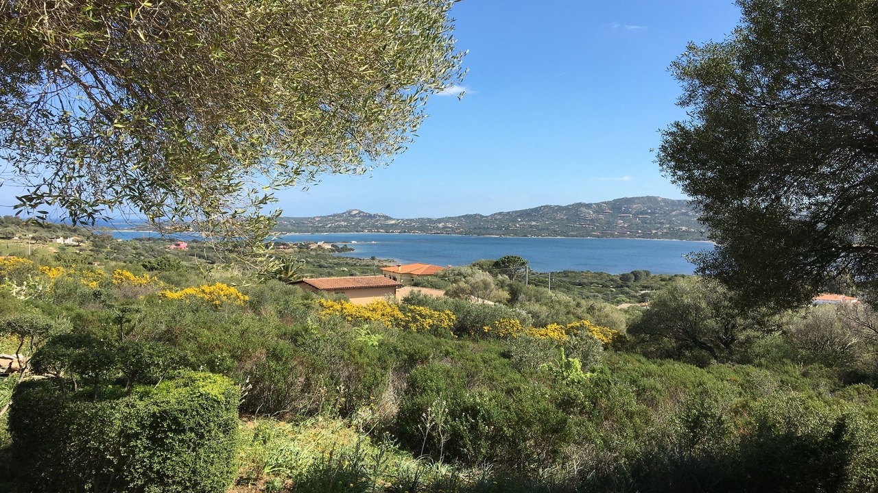 Photo of Others in Cugnana Verde