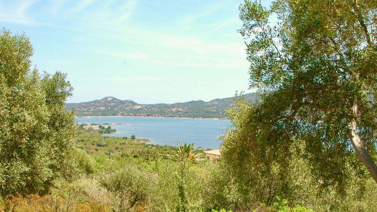 Photo of Others in Cugnana Verde