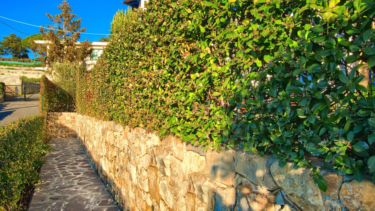 Photo of Outdoor in Poggi