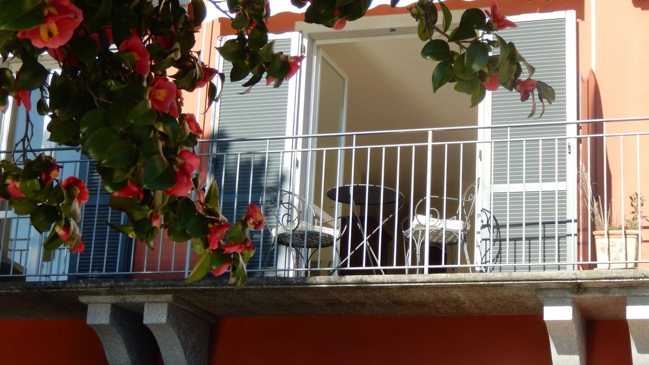 Photo of Outdoor in Cannero Riviera