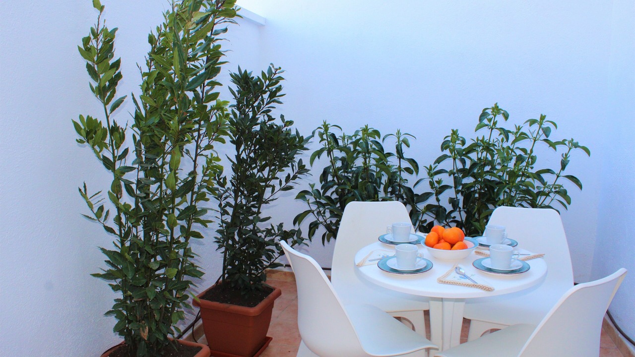 Photo of Outdoor in Benissanet