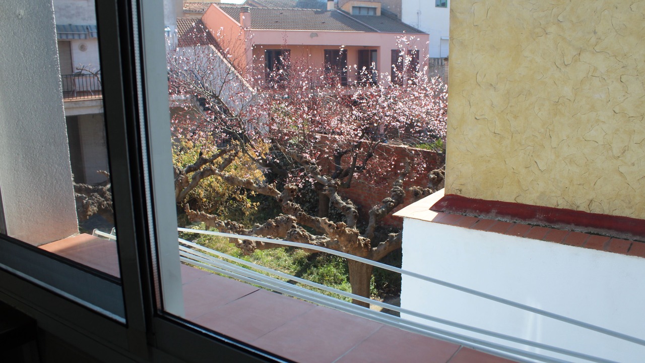 Photo of Others in Benissanet