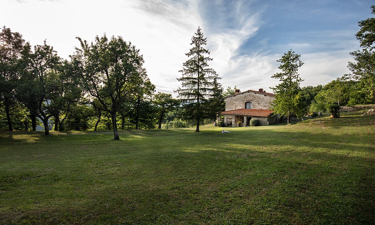 Photo of Outdoor in Londa