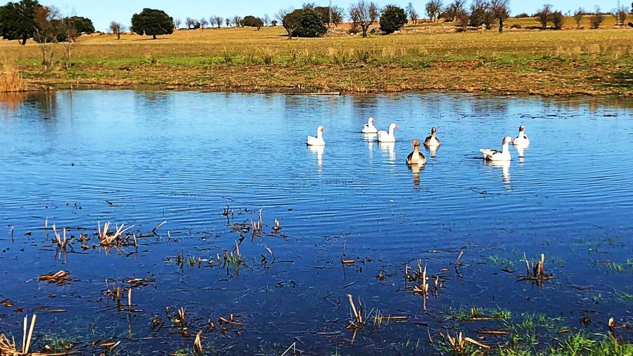 Photo of Outdoor in Viveros