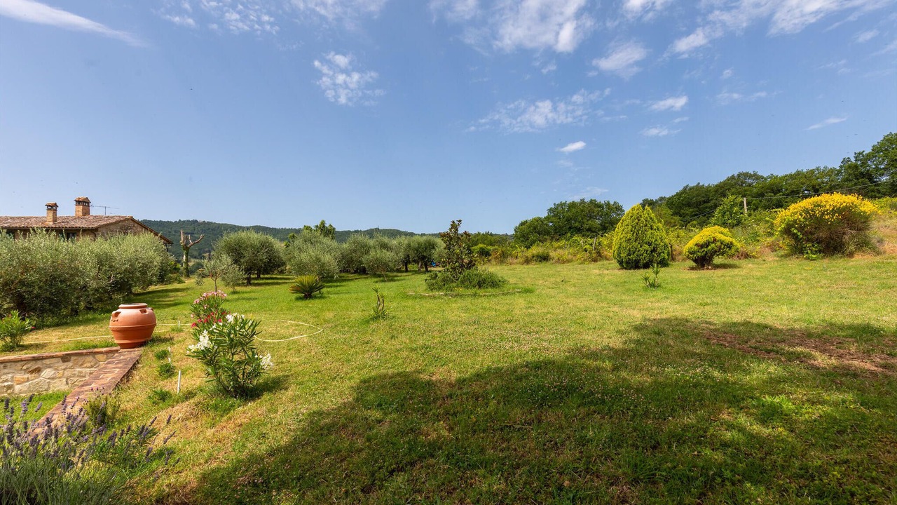 Photo of Others in Monte Castello di Vibio