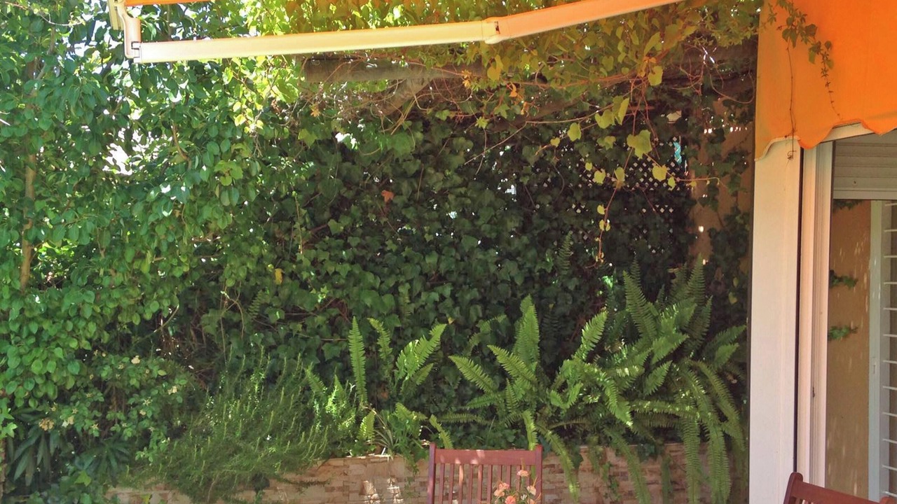 Photo of Others in Islantilla