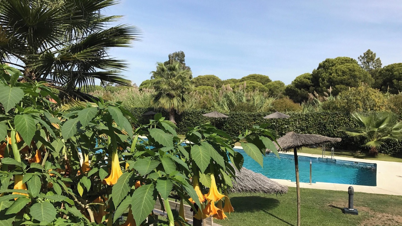Photo of Outdoor in Islantilla