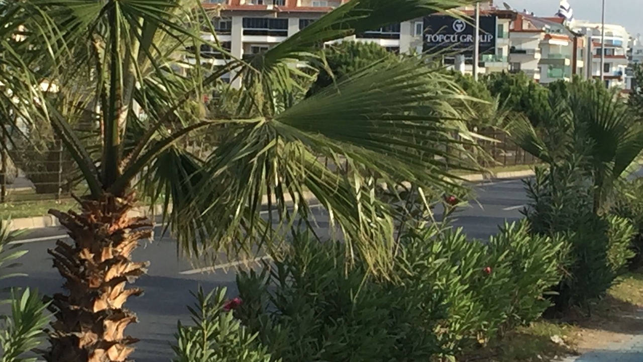 Photo of Outdoor in Kestel