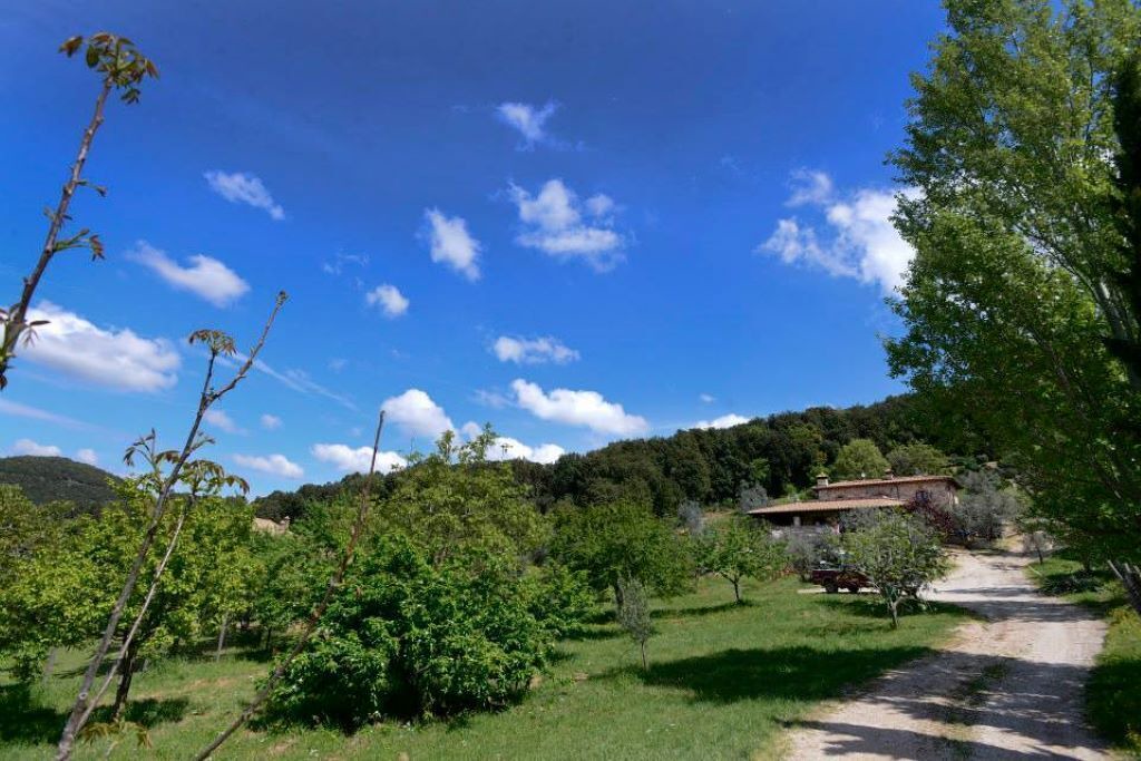 Photo of Outdoor in Baschi