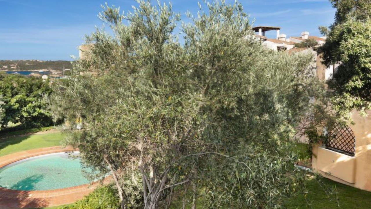 Photo of Outdoor in Liscia di Vacca
