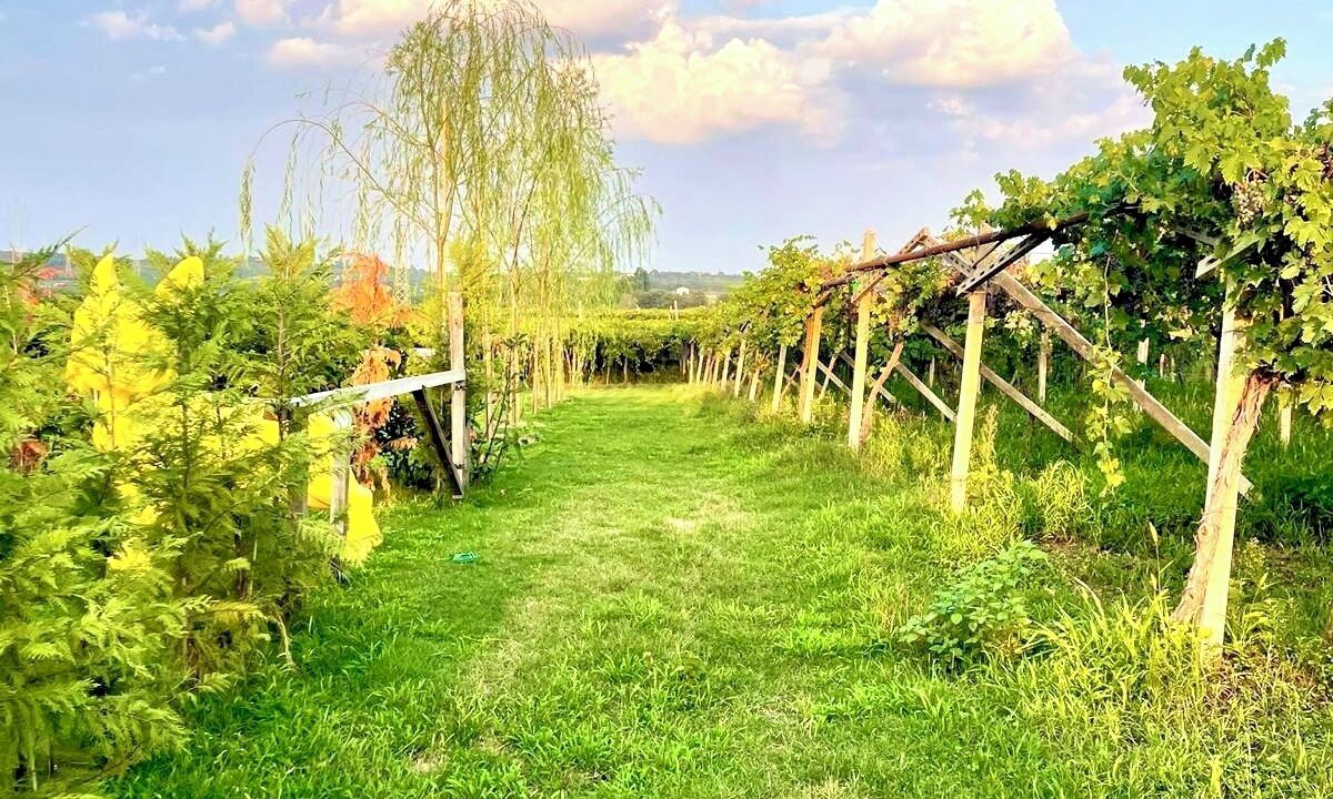Photo of Outdoor in Castelnuovo del Garda
