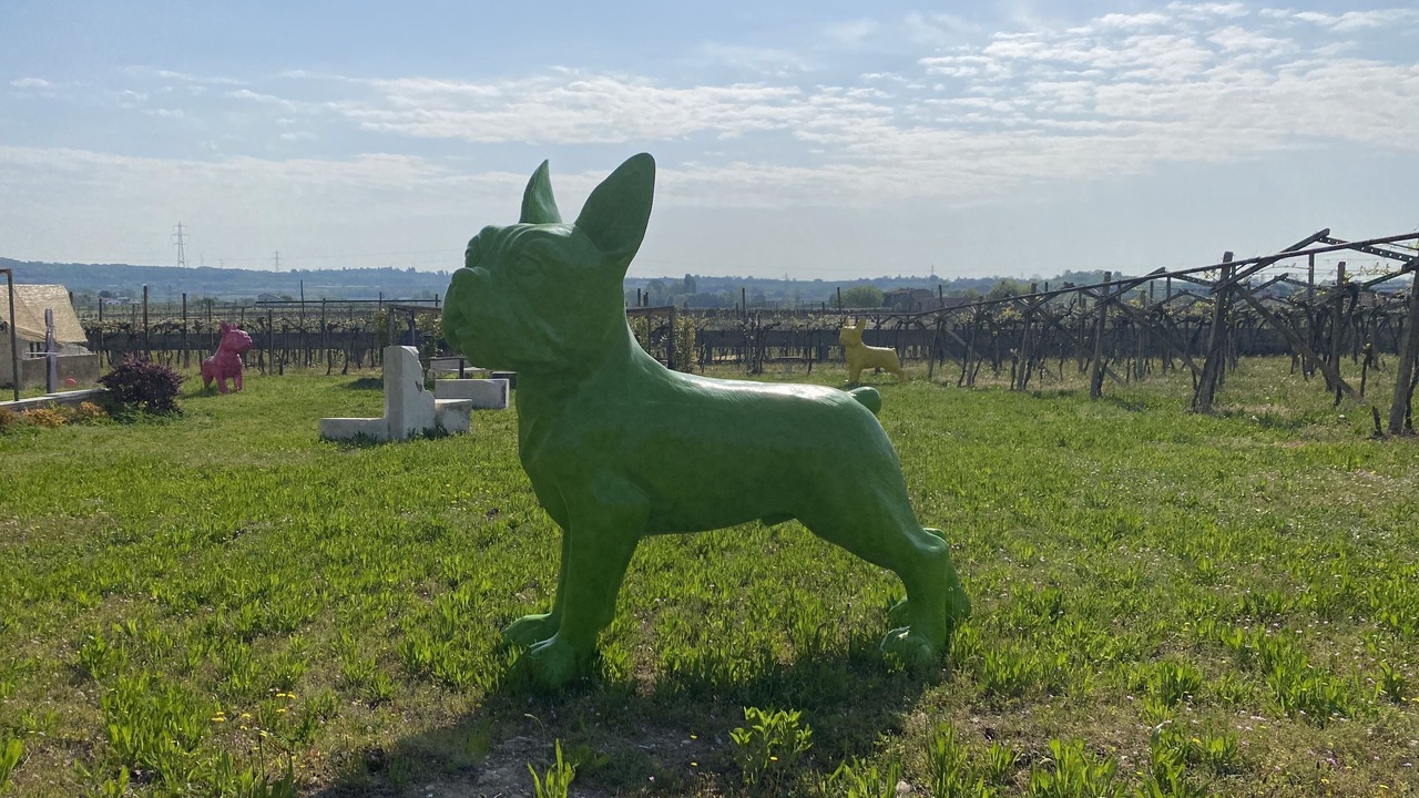Photo of Outdoor in Castelnuovo del Garda