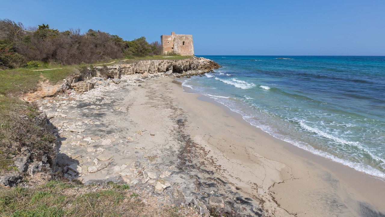 Photo of Others in Torre Specchia Ruggeri