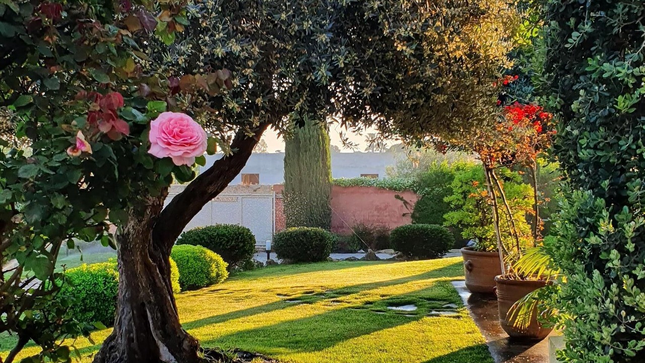 Photo of Outdoor in Marsala
