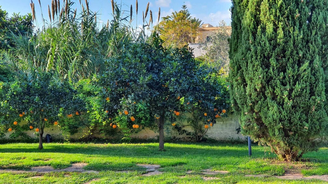 Photo of Outdoor in Marsala