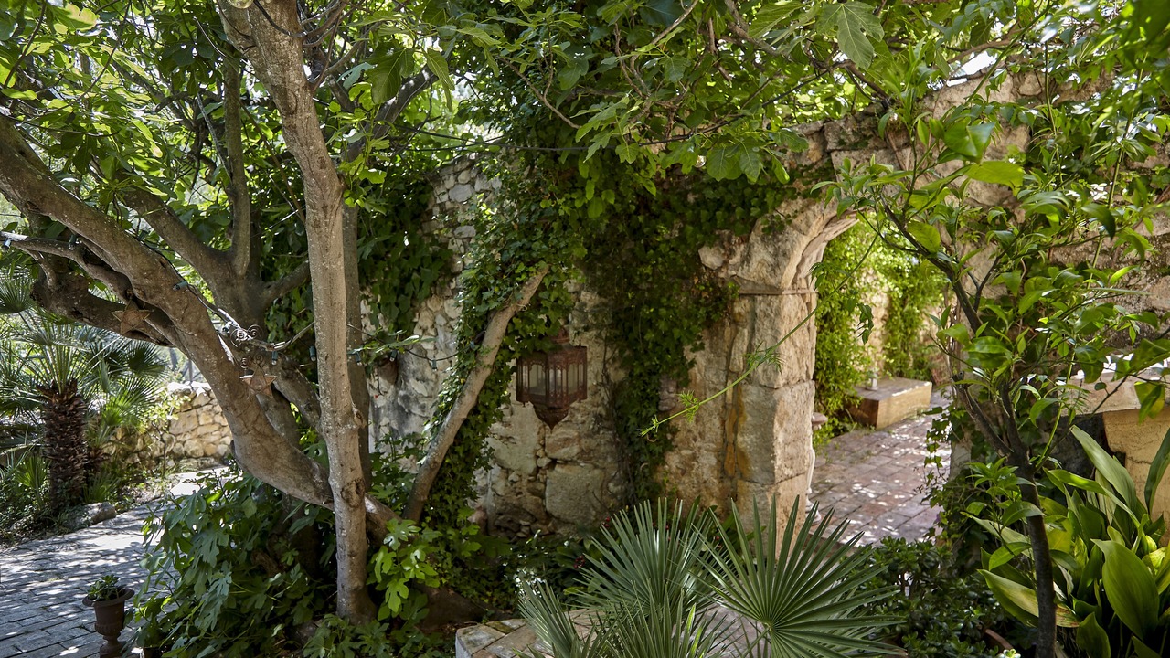 Photo of Outdoor in Canyelles