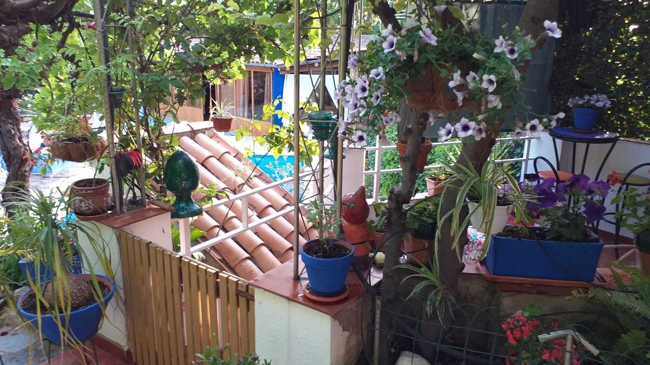 Photo of Outdoor in La Iruela