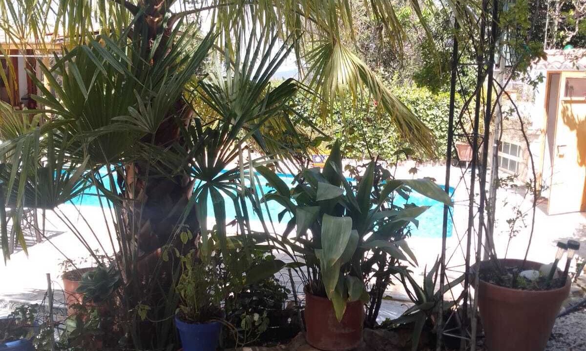 Photo of Outdoor in La Iruela