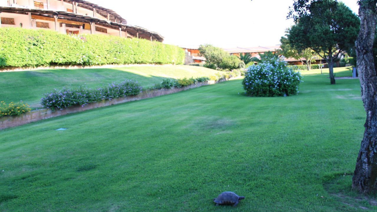 Photo of Outdoor in Li Cuncheddi