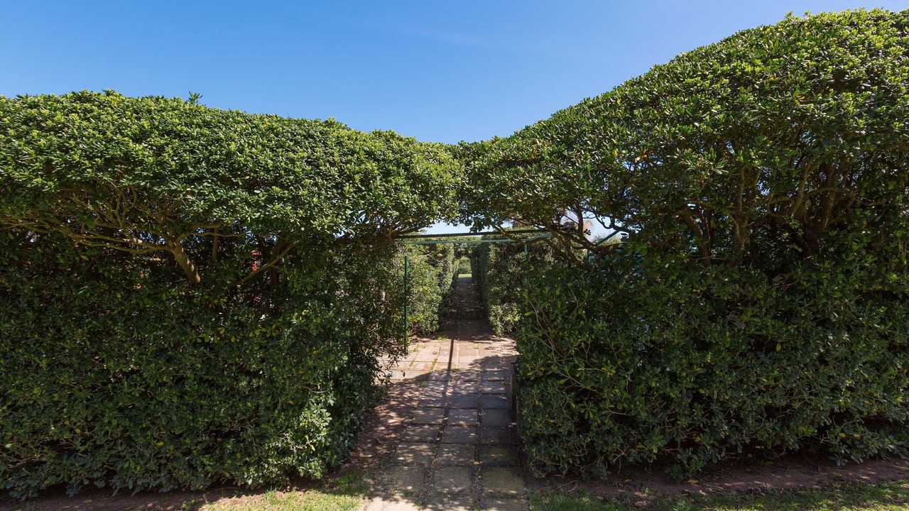 Photo of Outdoor in Torre Specchia Ruggeri