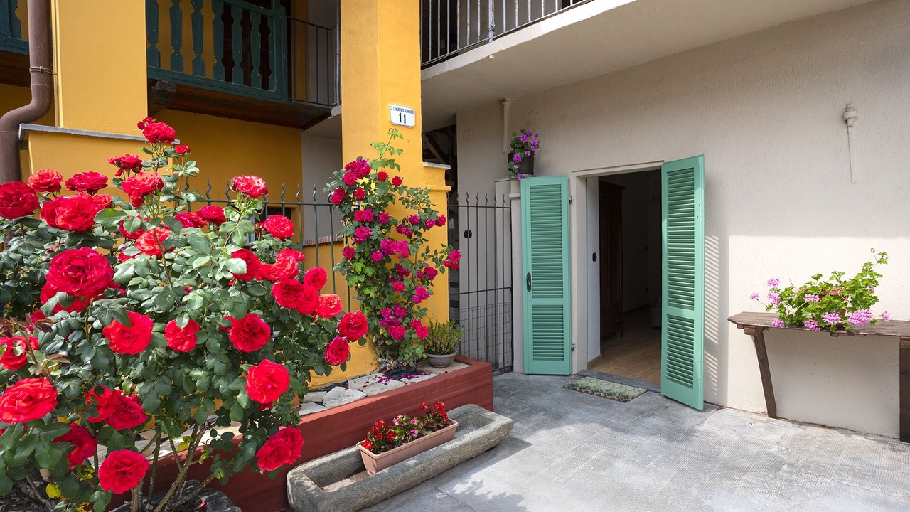 Photo of Outdoor in Busca