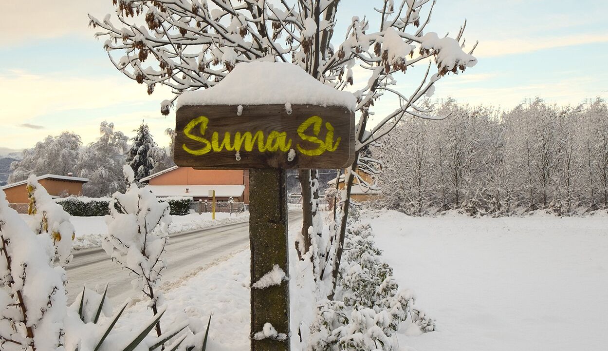 Photo of Outdoor in Busca