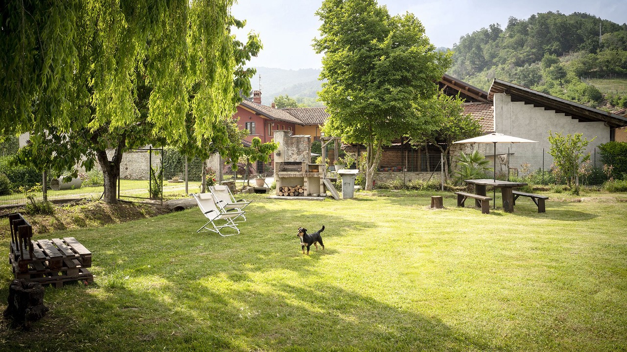 Photo of Outdoor in Busca
